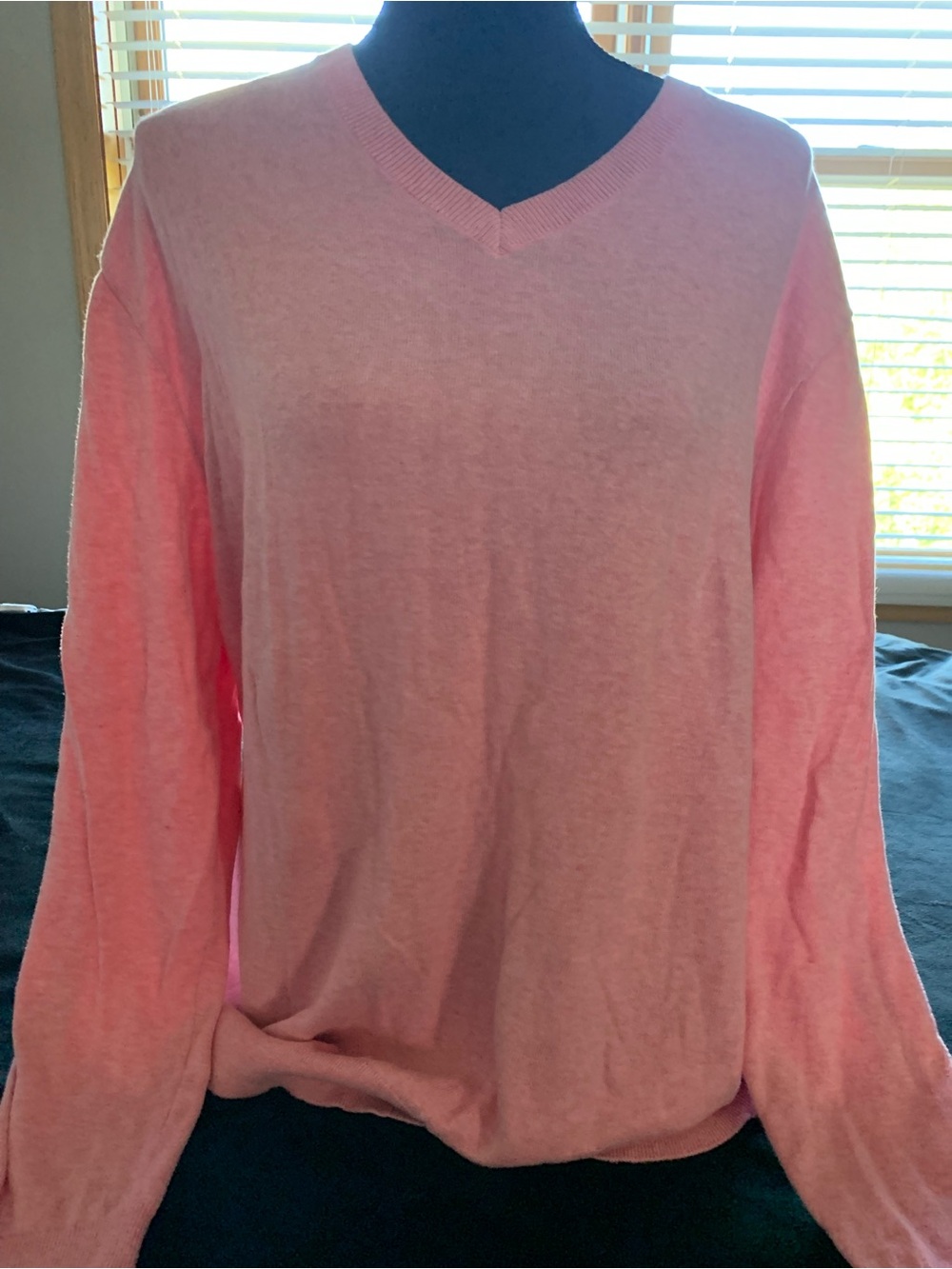 Light Pink V-Neck Sweater

Mix 1 0426